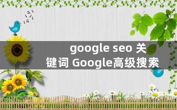 google seo 关键词 Google高级搜索